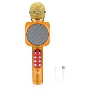 Karaoke mikrofon sa zvučnikom - Zlatni