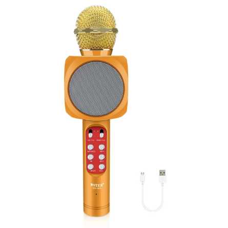 Karaoke mikrofon sa zvučnikom - Zlatni 222937