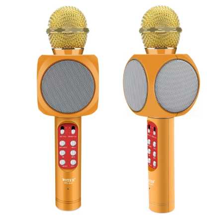 Karaoke mikrofon sa zvučnikom - Zlatni 222938