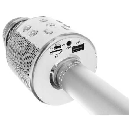Karaoke Bluetooth Mikrofon sa Zvučnikom - Rose gold 131321