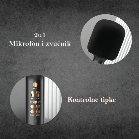 Maxlife karaoke mikrofon sa zvučnikom - Crni 241589