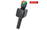Forever Karaoke Bluetooth Mikrofon sa Zvučnikom BMS-400 - Crni 42952