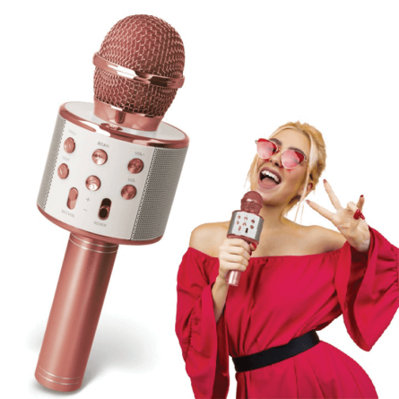 Forever karaoke mikrofon sa zvučnikom - Rose Gold 242580